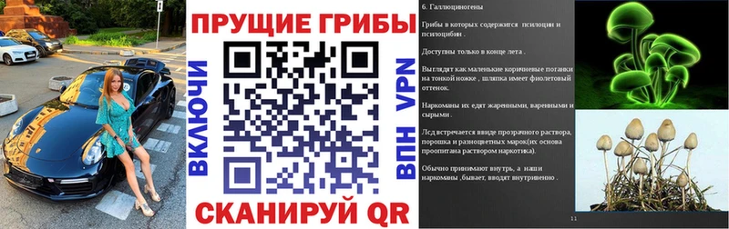 как найти наркотики  Собинка  Псилоцибиновые грибы Psilocybe 